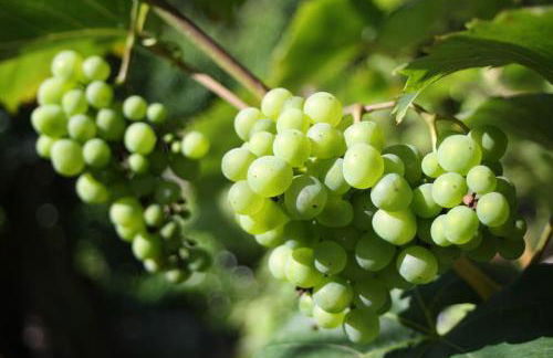 Komfort Ferienwohnung FEWO74-2 - Foto 45