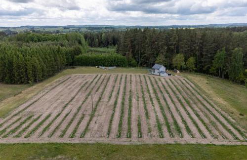 Okno na winnicę - Foto 45