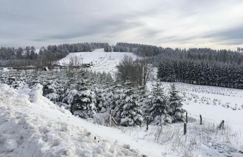 Appartement Am Skihang Altastenberg 1 km zum Skikarusell Winterberg - Photo 9