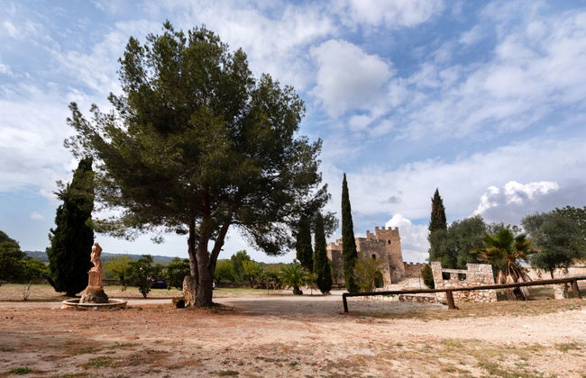 Mas d´en Tarres - Foto 18