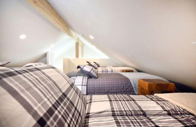 EML 1 Pack Saddle Jack - Foto 12