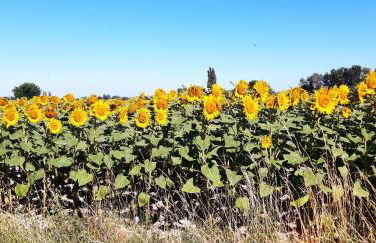 L'Instant Provence - Foto 16