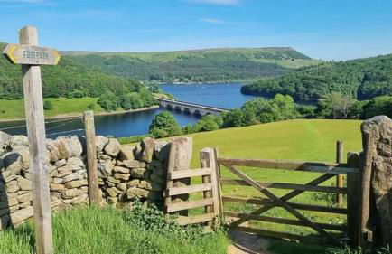 The Waltzing Weasel - Photo 28