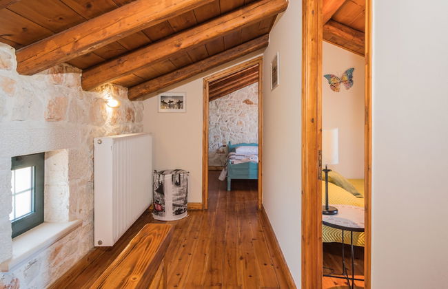 Tierra Olivo - Foto 6