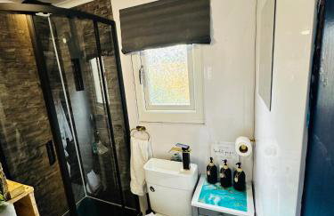 The llyffant Shed - Foto 9