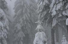 Dom Gościnny Zarembianka - Foto 53