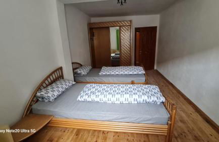 Ferienwohnung Goldener Löwe - Foto 15