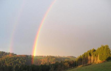 Lana Salta Alpakas - Gemütliche Ferienwohnungen auf dem Bauernhof - Photo 21
