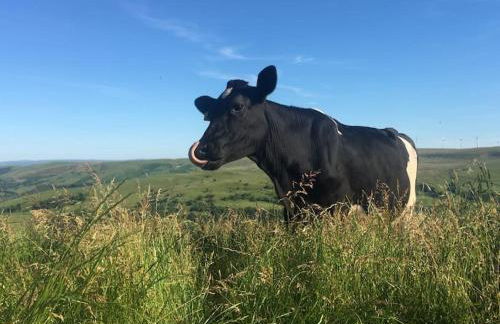 Quirky, Luxury Hideaway - Photo 29