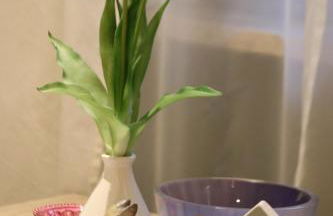 Ferienwohnung 1 Rinser mittig in Vogtareuth - Foto 13