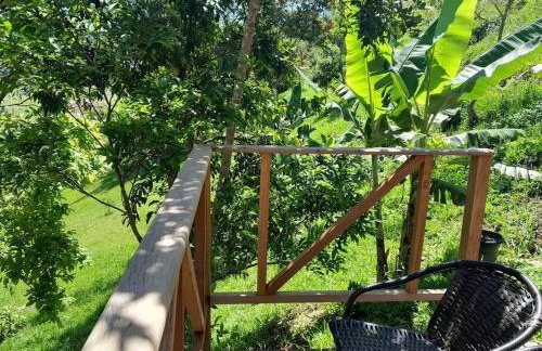 Cabana Gracillis em Alfredo Wagner - Serra Catarinense - Photo 7