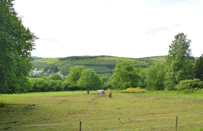 Scenic Stay in Vencimont - Foto 30