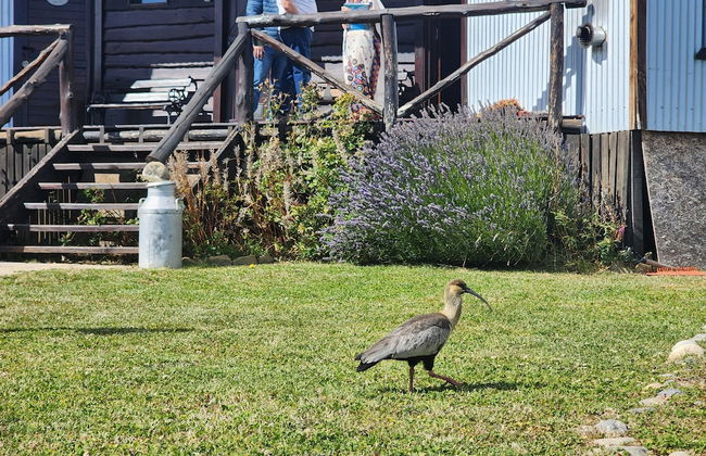 Cabañas Alechen - Photo 54