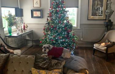 Ingram House with Hot Tub - Foto 9