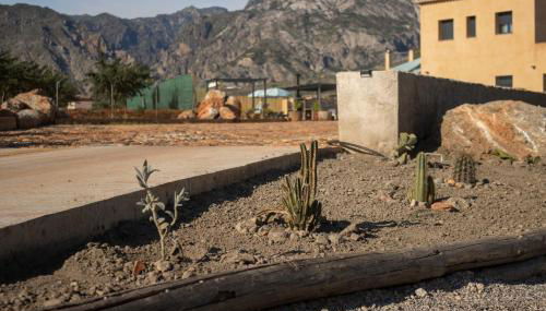 Eralta - Photo 2, Garden