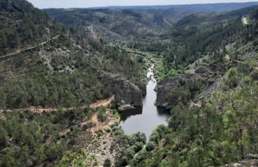 Casa Penafalcão - Foto 32