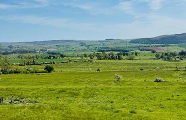 Turnpike House - Foto 66