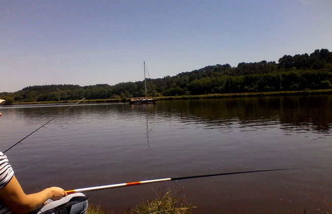 La Guguenaie - Foto 22