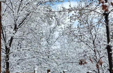 Large 3200sf A-Frame House close to Snowbird Alta Ski &Stunning Mountain View! - Foto 25