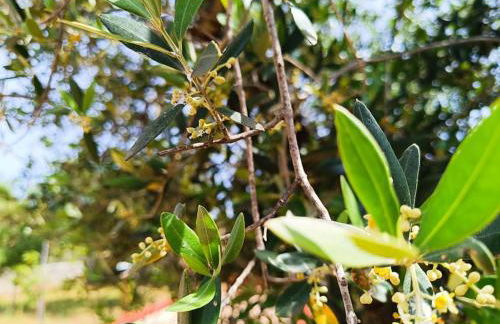 Villa Vento del Sud - Foto 24