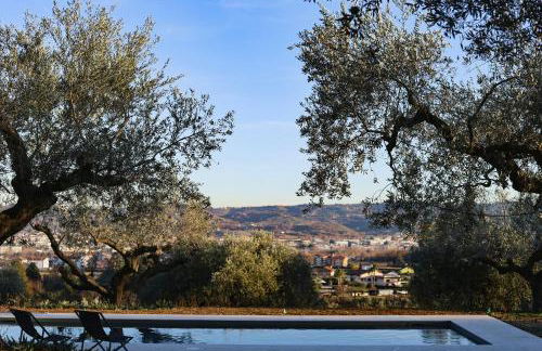 Villa With Olive Grove In Abruzzo - Foto 28