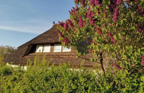 Gemütliche Ferienwohnung unterm Reetdach - Foto 4