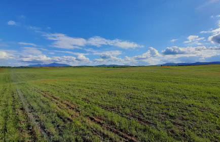 Tiny House Grabovac - Foto 50