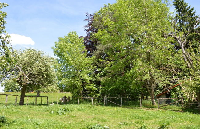 Family Villa in Ferrieres - Photo 25