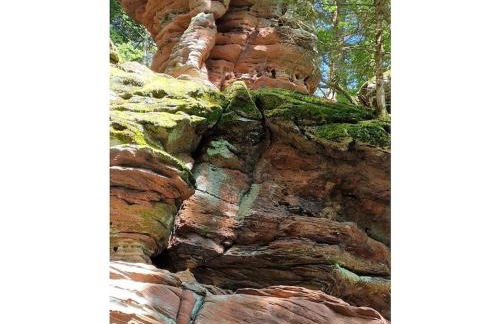 Holiday home Korn am Bärensteig - Foto 27