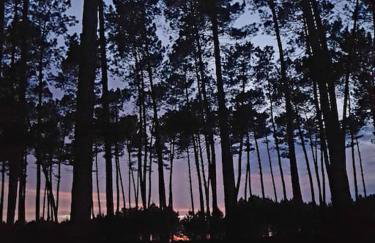 Superbe maison finlandaise en bois - Foto 17