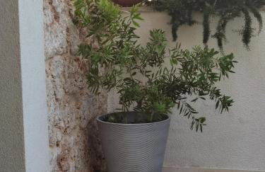 Manda Gradac - Foto 4