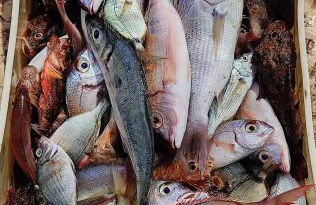 Vacation House a Mola di Bari - Foto 4