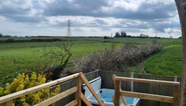 The Thatchie - Photo 5