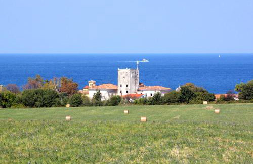 Apartments with parking space Dajla, Novigrad - 6935 - Photo 25