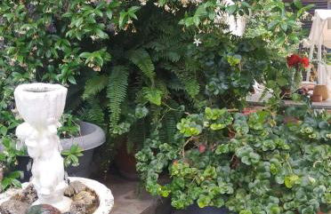 Violet Bedroom and Apartment - Photo 40