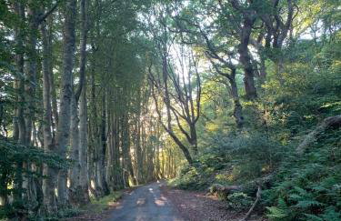 The Neuk Achmore Plockton - Foto 43