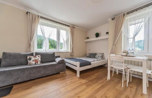 Willa Aleksandra - Apartamenty - Foto 71