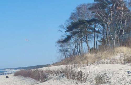 OKej domki Łeba - Nowęcin - Photo 38