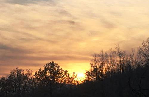 Pizzicalaluna Agriturismo Olistico sulle Colline di Pianoro - Photo 62