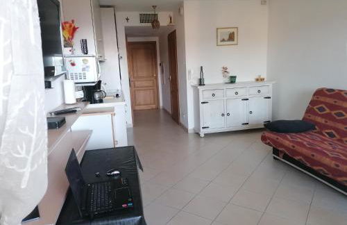 Appartement Résidence Les Eucalyptus - Foto 1