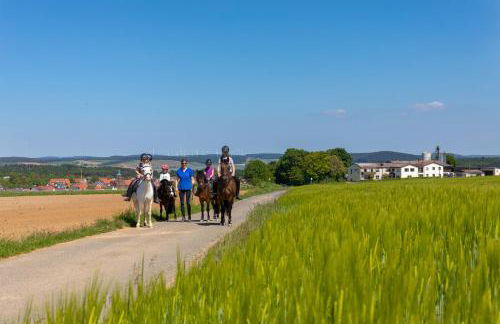 Pferdehof Bischof - Foto 18