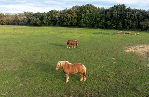 Gite Ferme des Rosières - Foto 33