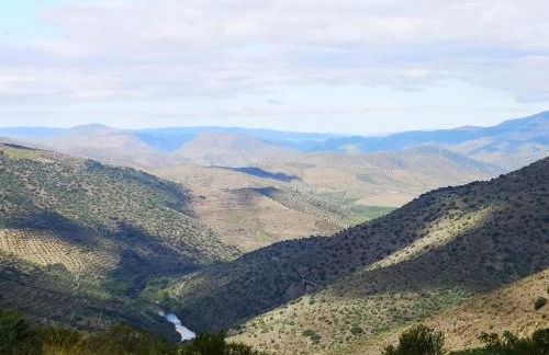 El Abigero II - Foto 23