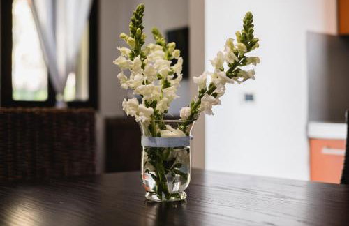 LuminHouse Mondello Arancia - Foto 18