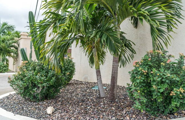 Nianna Coral Bay Stunning Townhouse- 5 - Photo 64