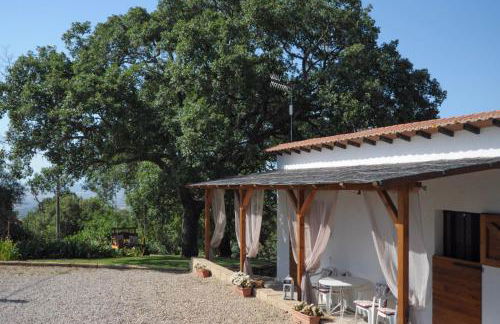 Il Poggetto di Barbara - Casa Bianca - Foto 1