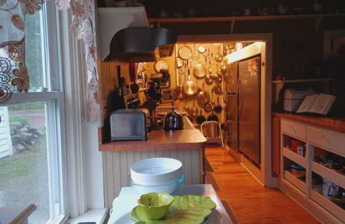 10 Mi to Gore Mountain- Home in Adirondack Park home - Photo 42