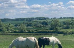 The Cobbles - Photo 24