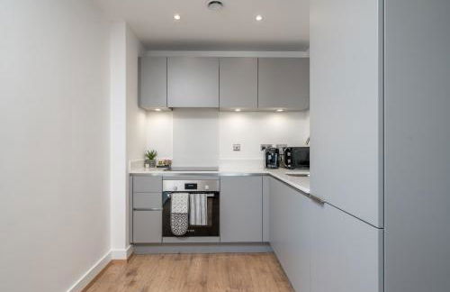 Skyvillion - London River Thames Top Floor Apartments by Woolwich Ferry, Mins to London ExCel, O2 Arena , London City Airport with Parking - Foto 48