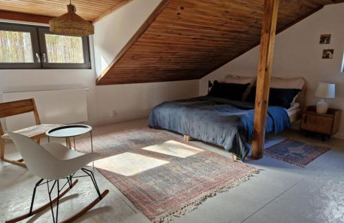 Lustro Wody - Foto 19